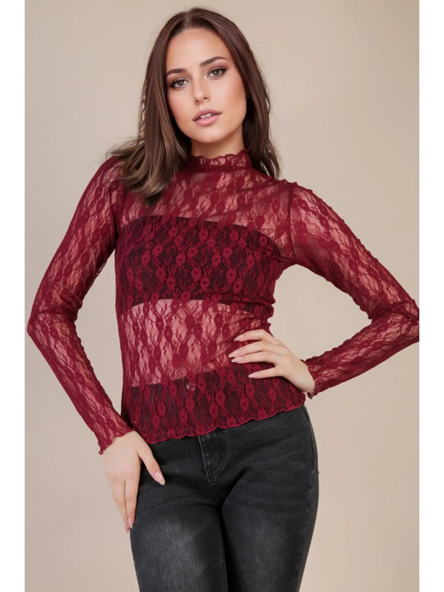 High Neck Fitted Sheer Mesh Lace Knit Top