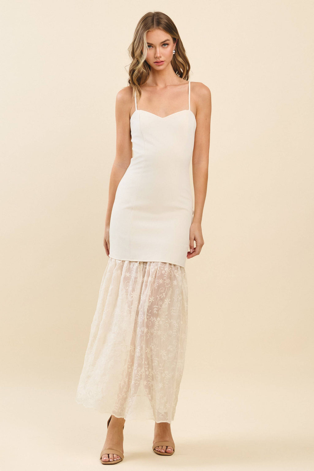 Sheer Embroidered Lace Dress
